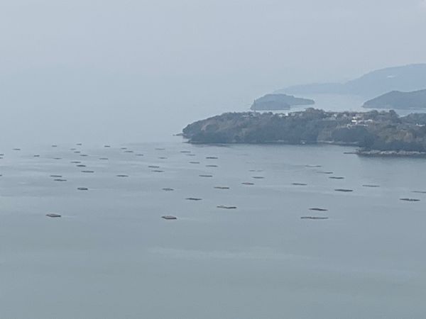 日本・兵庫県「牡蠣を求めて」の写真：梅林