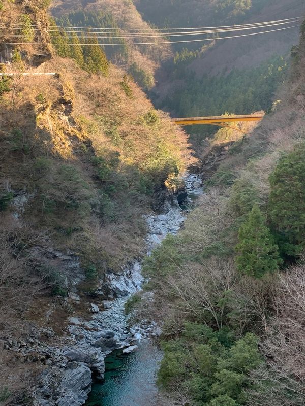 日本・徳島県「正月旅行」の写真