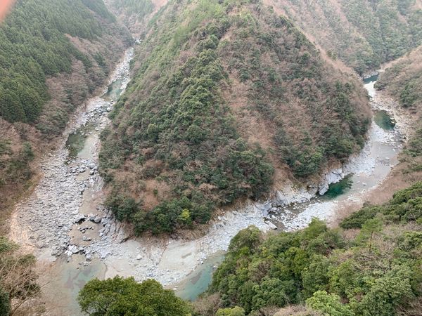 日本・徳島県「正月旅行」の写真