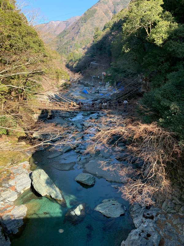 日本・徳島県「正月旅行」の写真：かずら橋、怖い