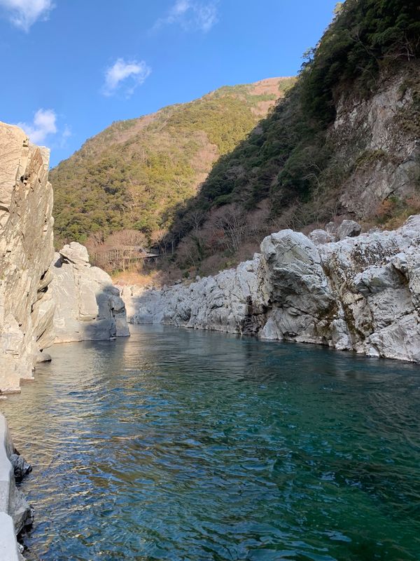 日本・徳島県「正月旅行」の写真：大歩危クルーズ
