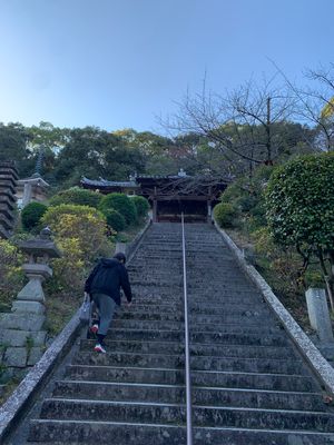 年末年始道の駅はやってない