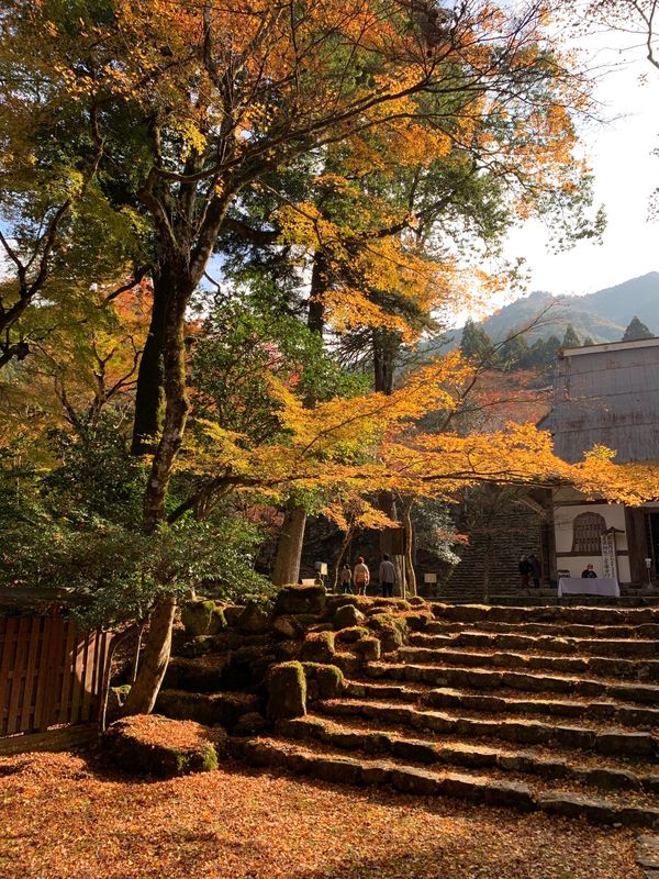 日本・兵庫県「紅葉を求めて」の写真