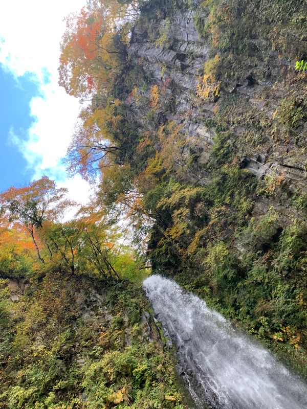 日本・鳥取県「紅葉を求めて、前期」の写真：雨滝