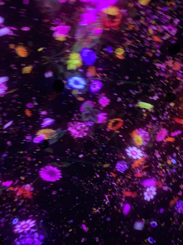 日本・東京都「お供の東京」の写真