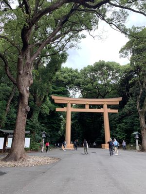 明治神宮、東郷神社、寿司