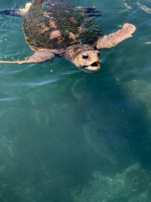 水族館とクジラ料理