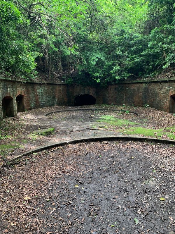 日本・和歌山県「和歌山旅行」の写真