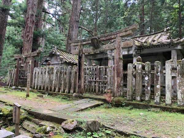 日本・和歌山県「和歌山旅行」の写真
