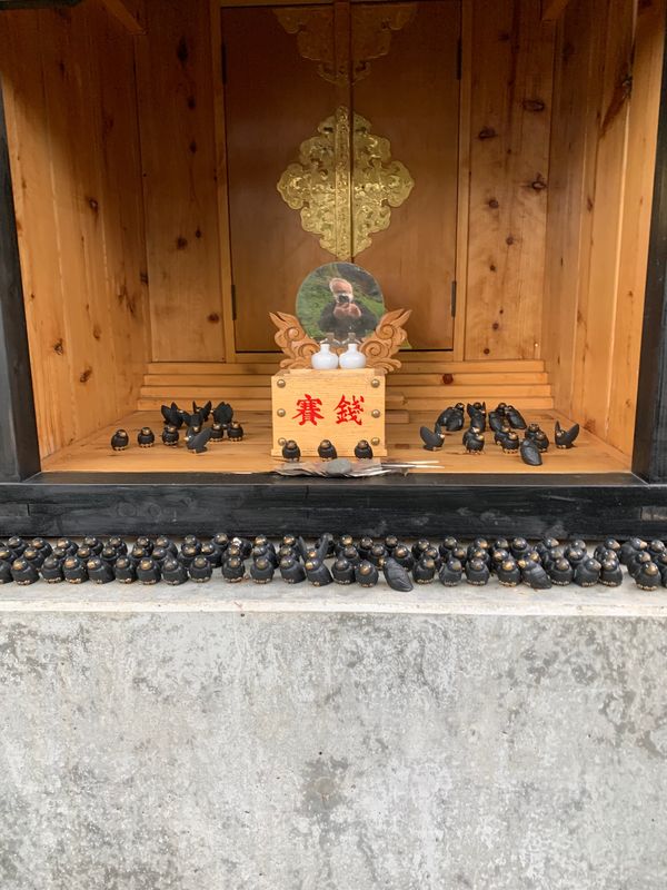 日本・長野県「定期的な群馬旅行」の写真：念願のしげのや