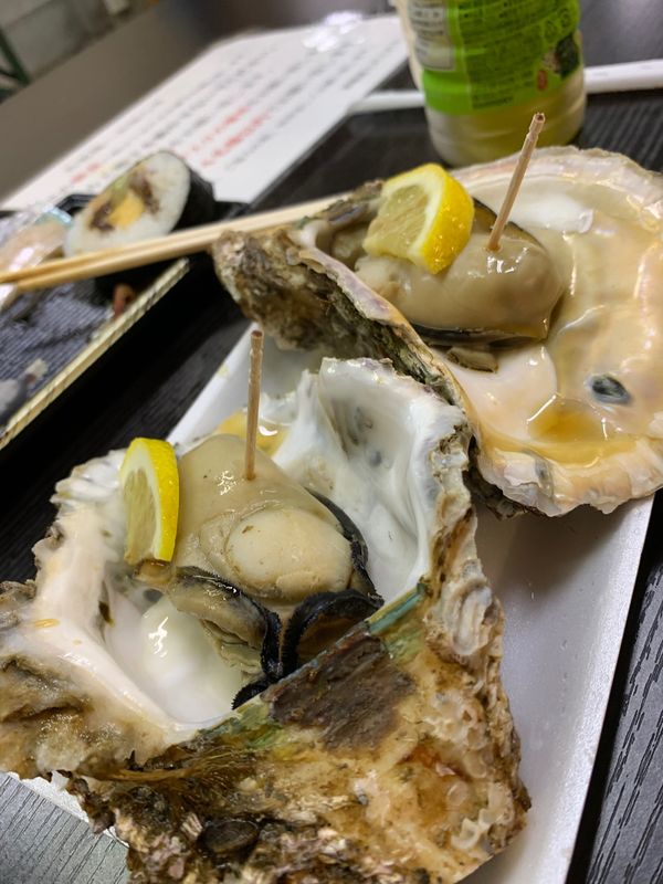 日本・京都府「舞鶴へ自衛隊を見に」の写真