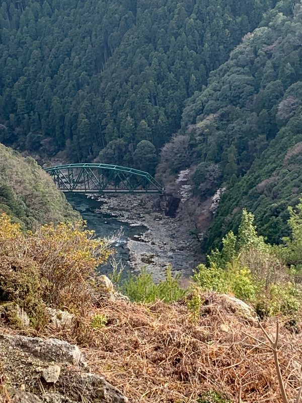 日本・京都府「比叡山から京都」の写真