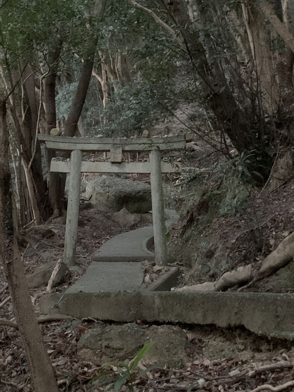 日本・徳島県「思いつきの淡路島」の写真：朝散歩、洲本城