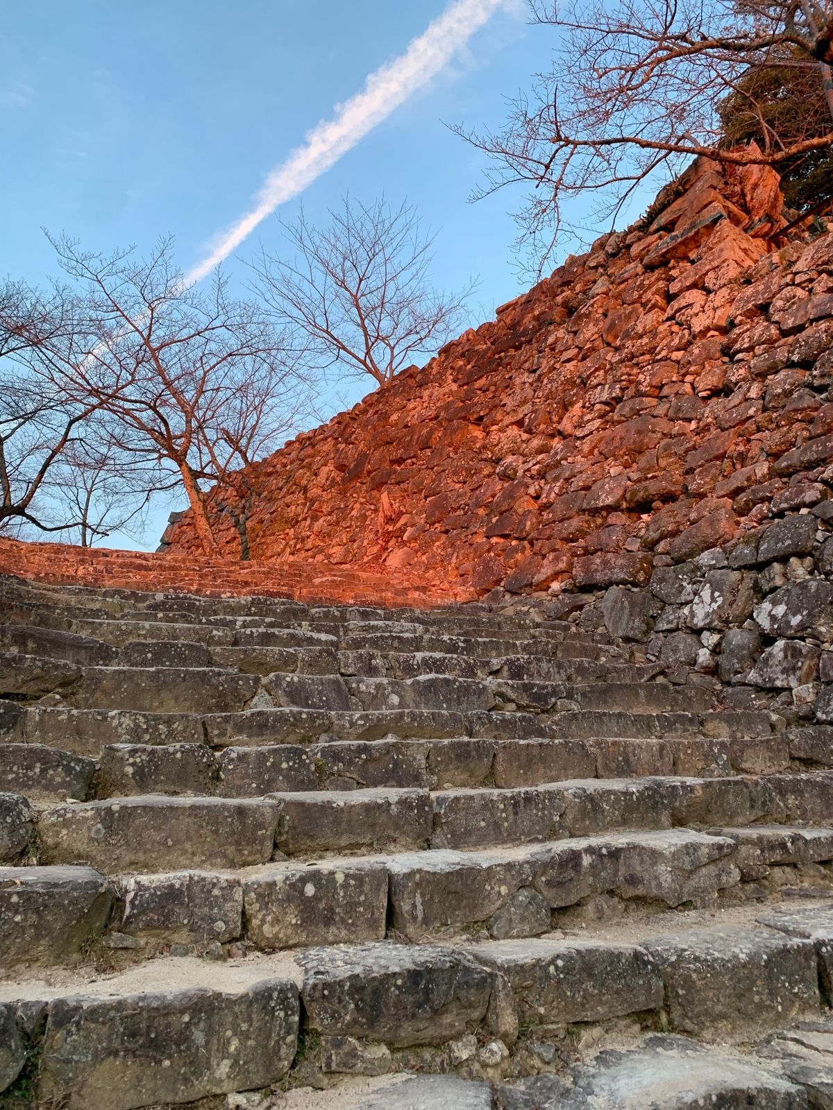 朝散歩、洲本城