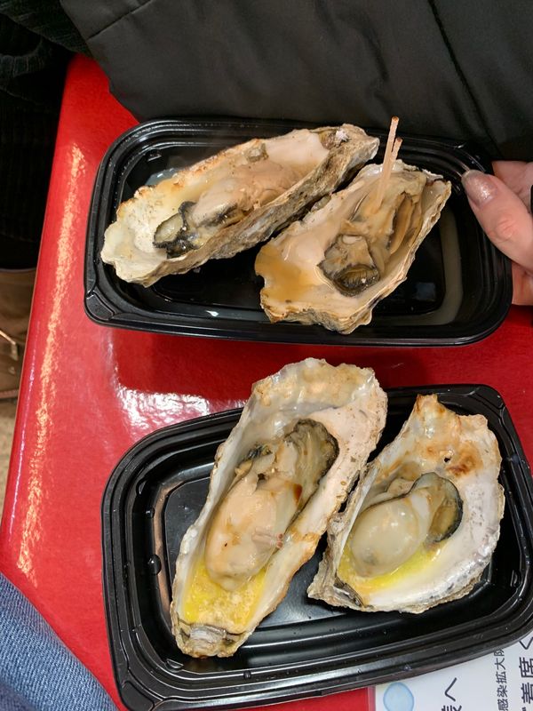 日本・兵庫県「正月旅行」の写真