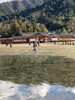 厳島神社、改装中