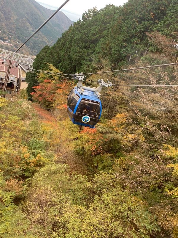 日本・静岡県「箱根旅」の写真