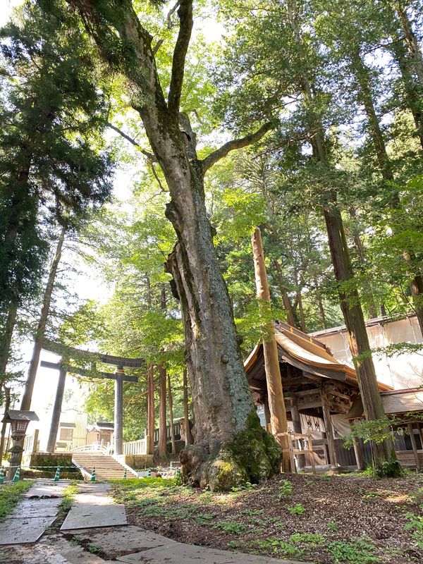 日本・長野県「長野」の写真