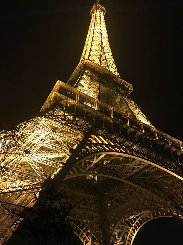 フランス・パリ「フランス　パリ」の写真