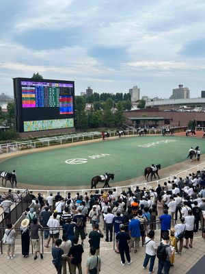 ３日目は札幌競馬場🐎