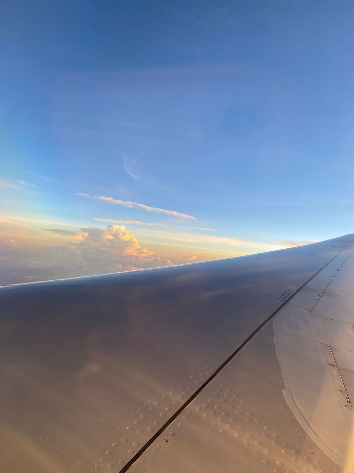 超絶久々海外も無事に完遂。
機内食も含めて美味しいものをたくさん食べました！