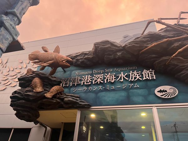 日本・静岡県「静岡旅行」の写真