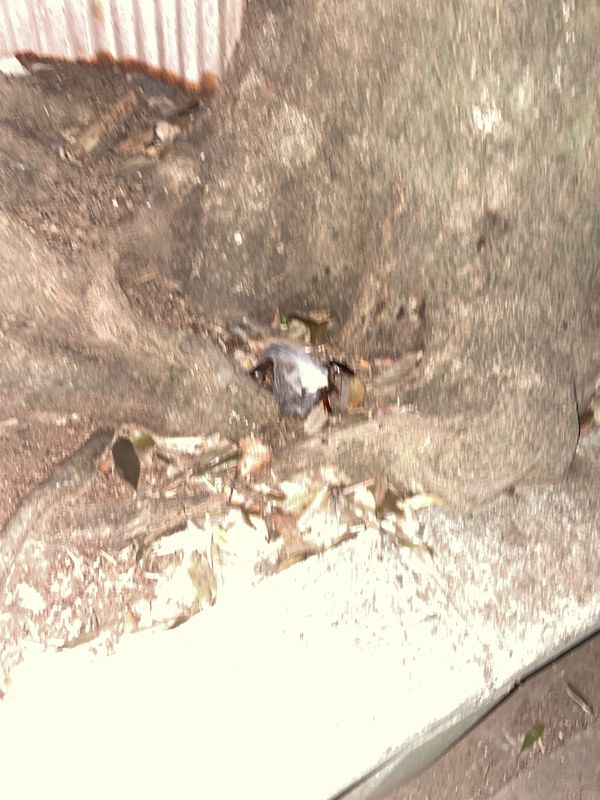 日本・静岡県「静岡　サウナ旅」の写真