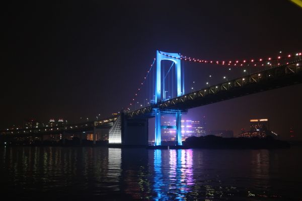 日本・東京都「八丈島」の写真
