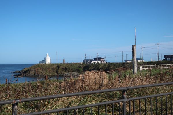 日本・函館「北海道　特急乗り放題の旅」の写真