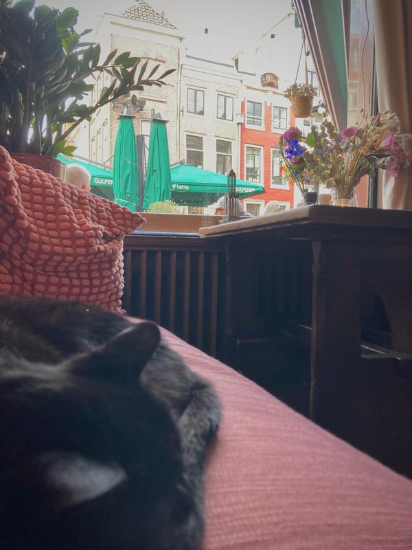 オランダ・ユトレヒト「思いつき1人西欧未到達メドレー」の写真：Utrecht 