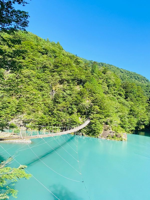 日本・静岡県「静岡ぼっち旅」の写真