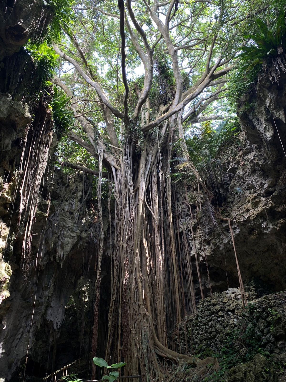 このあたりに来たら素通りはできない、
ひめゆりの塔。5人に1人亡くなった沖...