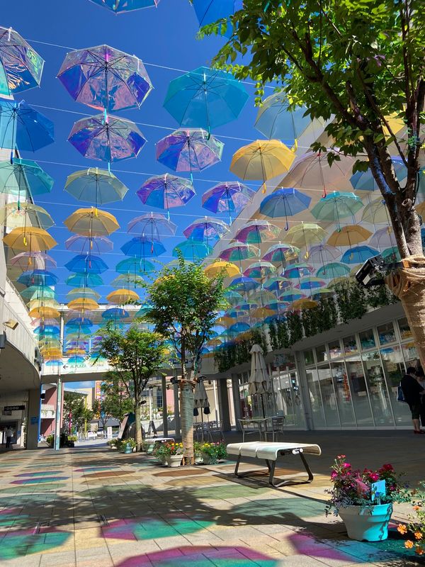 日本・滋賀県「滋賀県日帰り旅」の写真