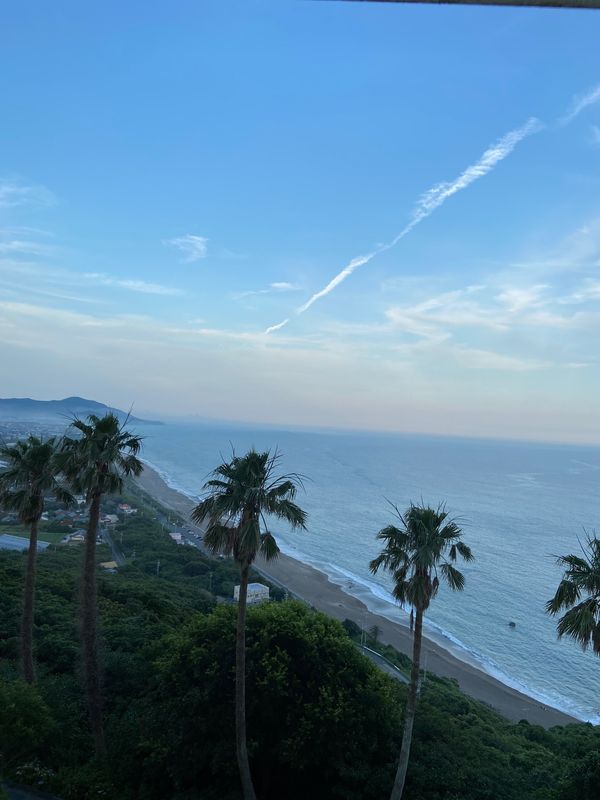 日本・日本「渥美半島、佐久島ぼっち旅」の写真