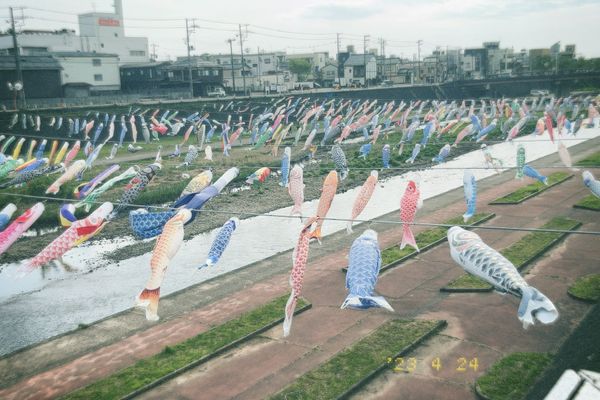日本・新潟県「第二の故郷旅 @新潟」の写真
