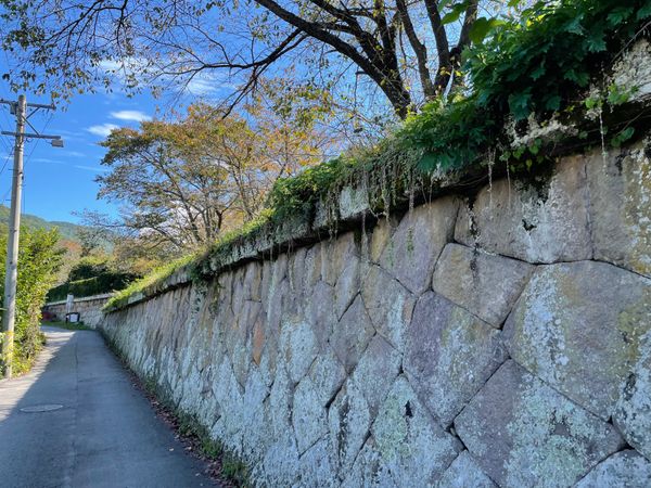 日本・長野県「長野　佐久　戸隠」の写真