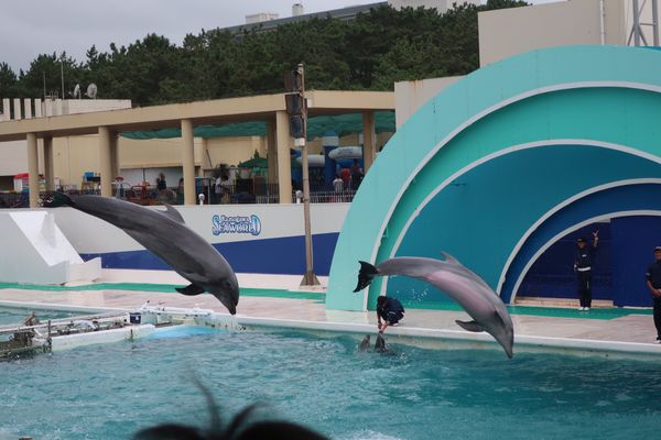 日本・千葉県「鴨川　会社の同僚と1泊2日」の写真