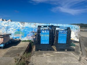 港でこの透明度。魚が見える！
海は汚さないで欲しいです。。