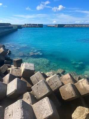 港でこの透明度。魚が見える！
海は汚さないで欲しいです。。