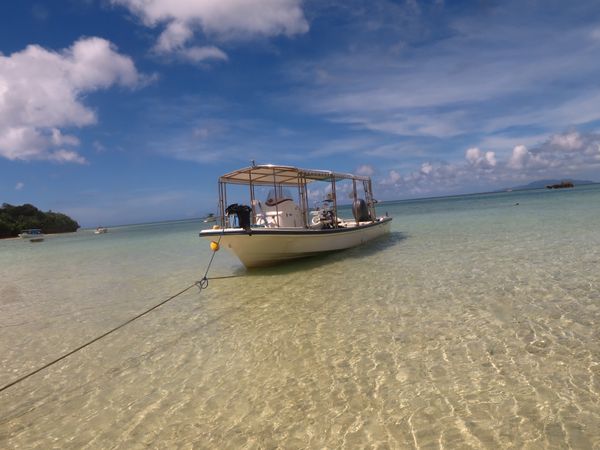 日本・石垣島「石垣島ダイビング」の写真：マンタ以外。
ハリセンボンと遊んだり、洞...