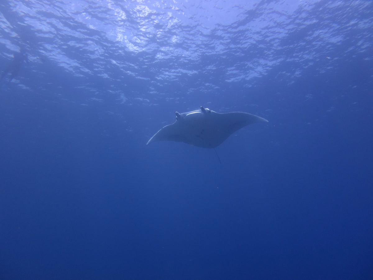 動画、もっと長く撮れるように、GoPro欲しい笑
4枚目が動画です。