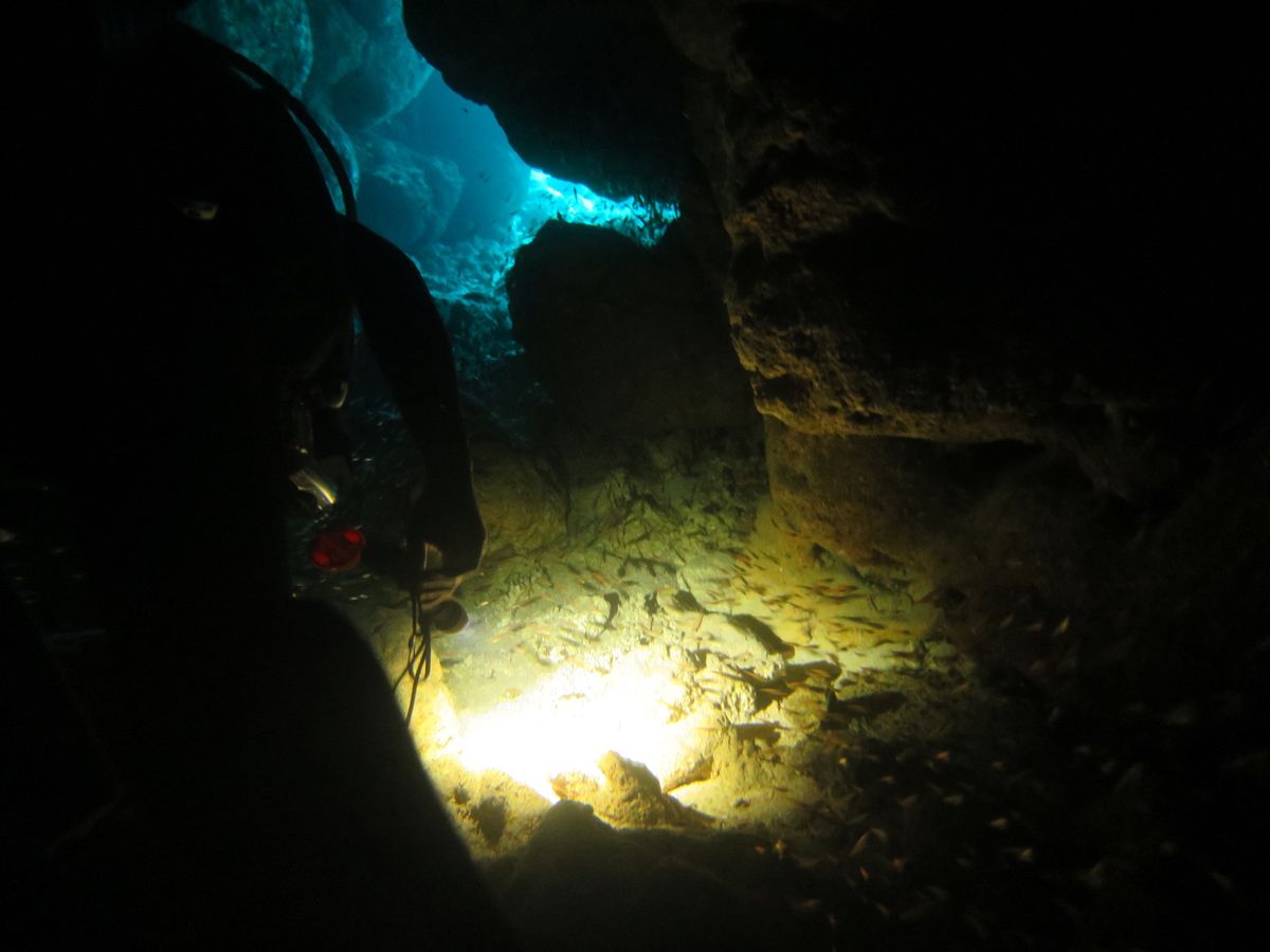 マンタ以外。
ハリセンボンと遊んだり、洞窟行ったり、珊瑚にもいやされました。