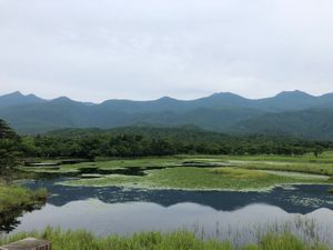 ずっと行きたかった裏摩周にある神の子池✨