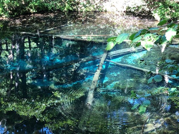 日本・知床「知床へ再び」の写真：ずっと行きたかった裏摩周にある神の子池✨