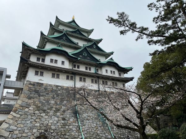 日本・愛知県「名古屋城」の写真