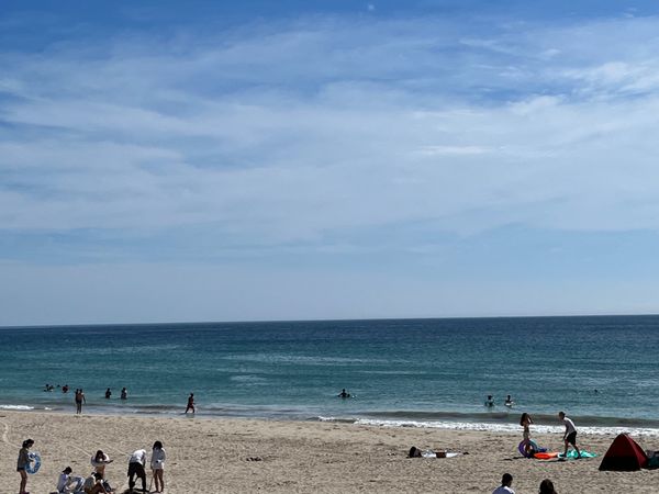 日本・静岡県「海水浴」の写真：海水浴してきました！