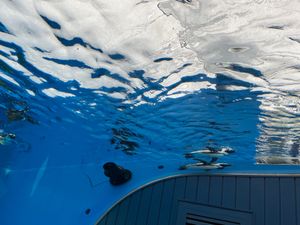 サンシャイン水族館