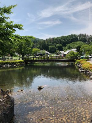 田植え