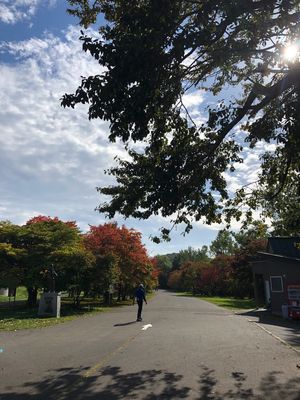 国際センター宿泊、真駒内公園の視察。