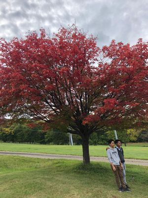 国際センター宿泊、真駒内公園の視察。